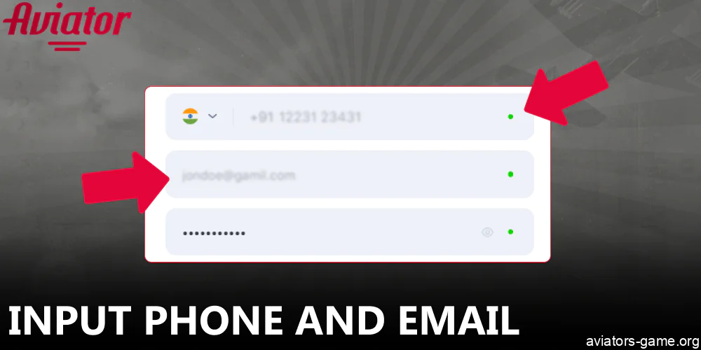 Input phone and email for Aviator registration